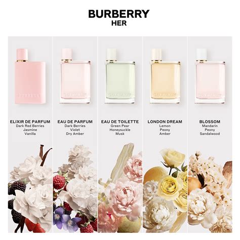 burberry for her parfum preisvergleich|burberry her perfume for women.